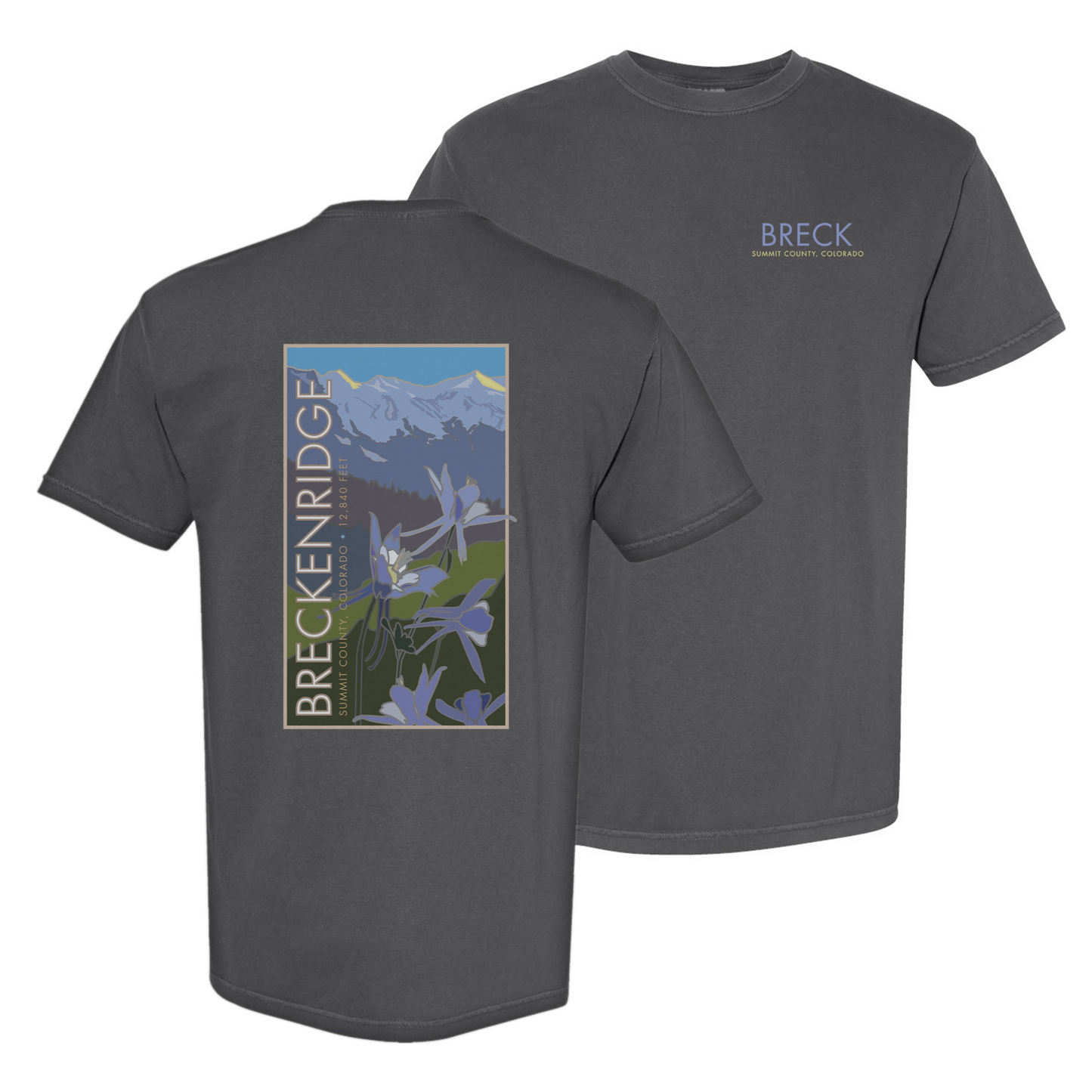 Breckenridge, Colorado - Comfort Colors Heavyweight T-Shirt