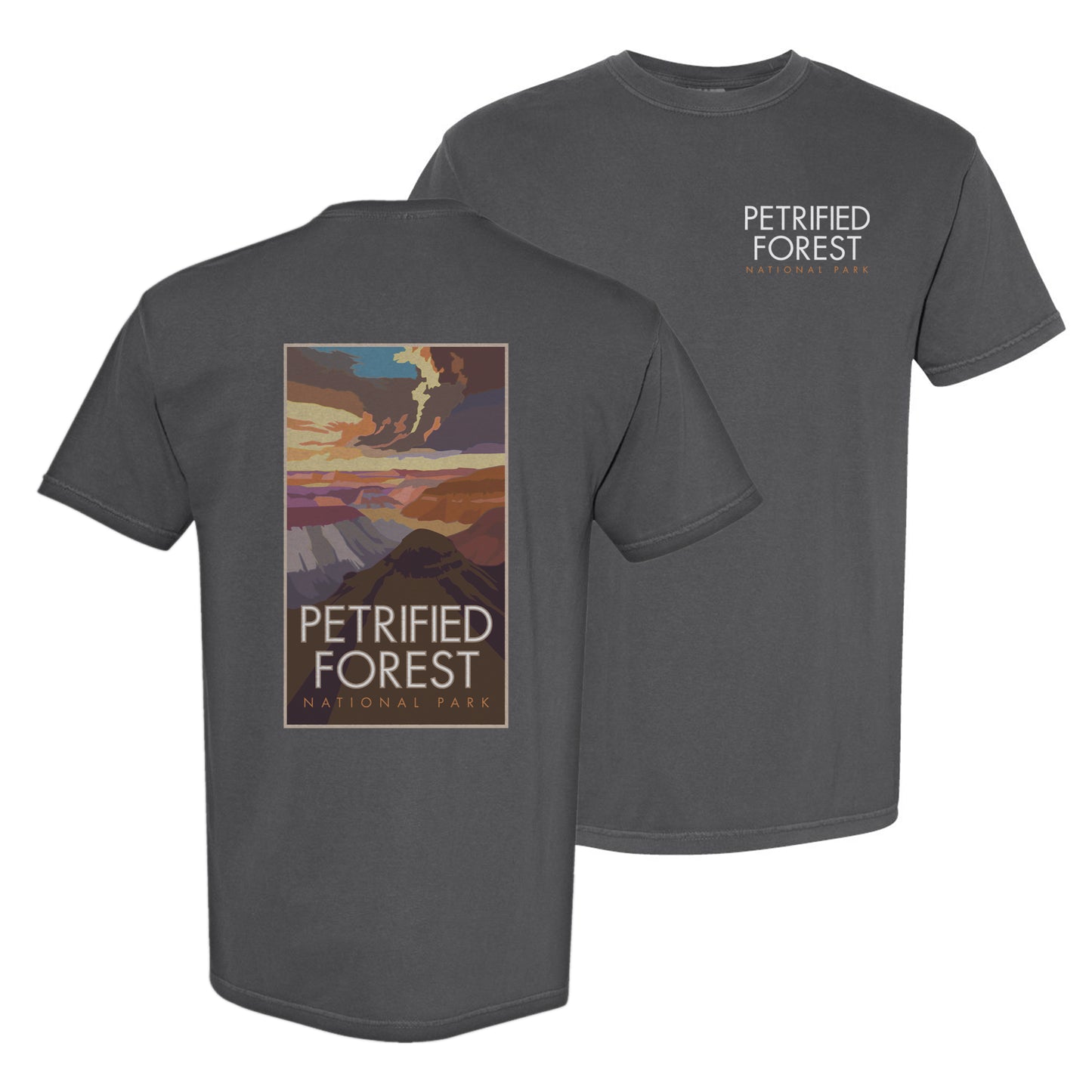 Petrified Forest National Park, Arizona - Comfort Colors Heavyweight T-Shirt