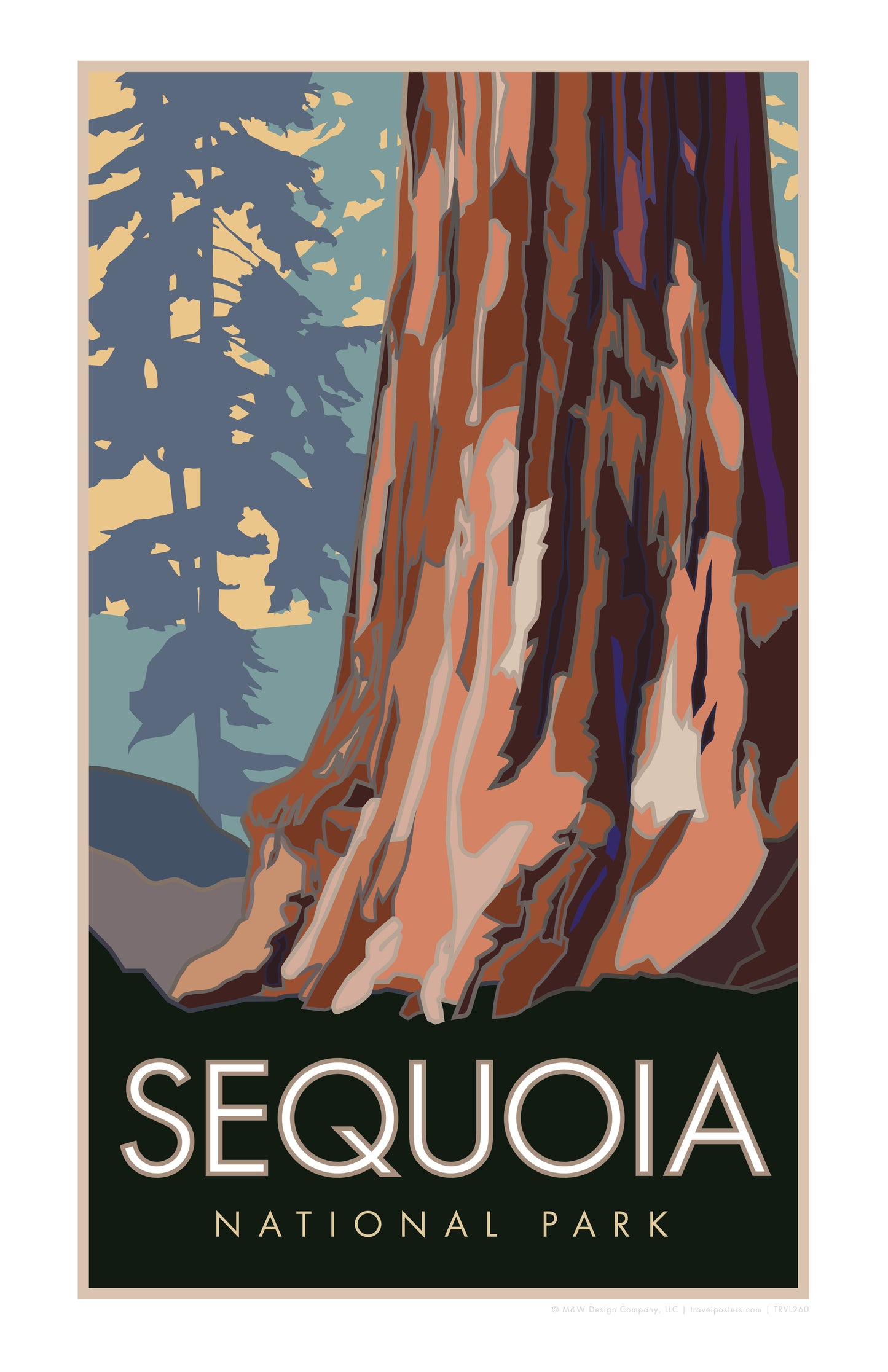 Sequoia National Park, Forest View, California - Poster