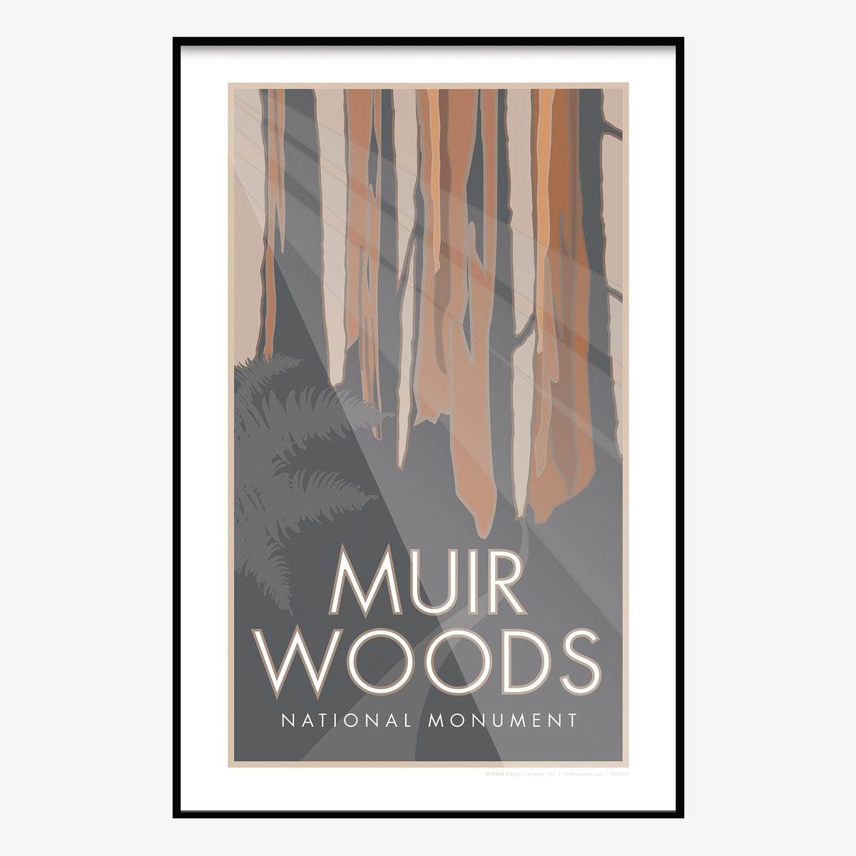 Muir Woods National Monument California Travel Poster