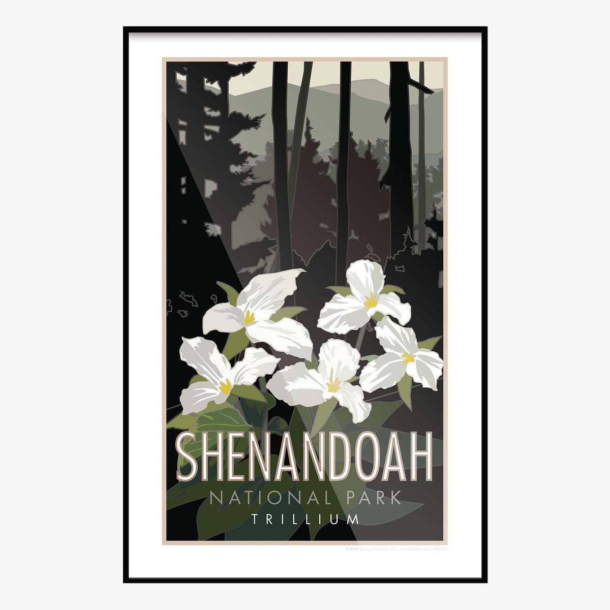 Shenandoah National Park Trillium Virginia Travel Poster
