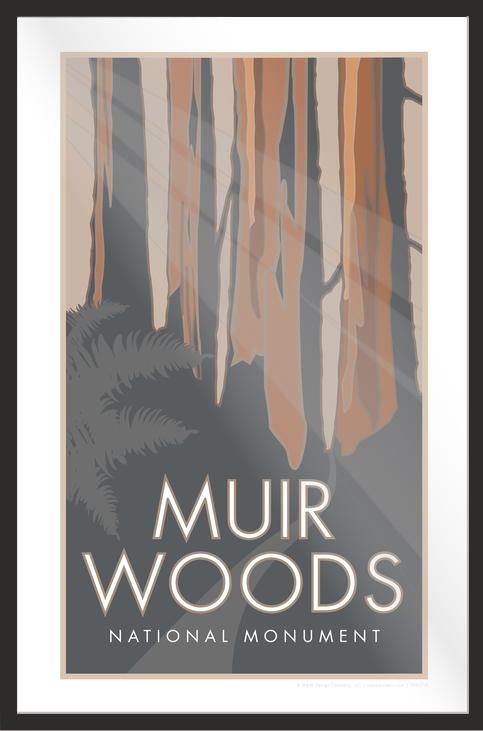 Muir Woods National Monument, California - Poster