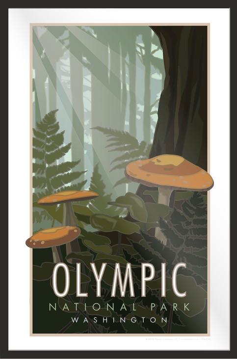 Olympic National Park, Washington (Mushrooms) - Poster
