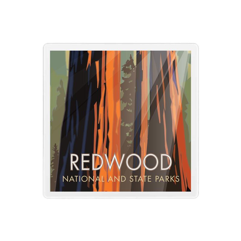 Redwood National and State Park, California - 4" x 4" Sandstone Coaster