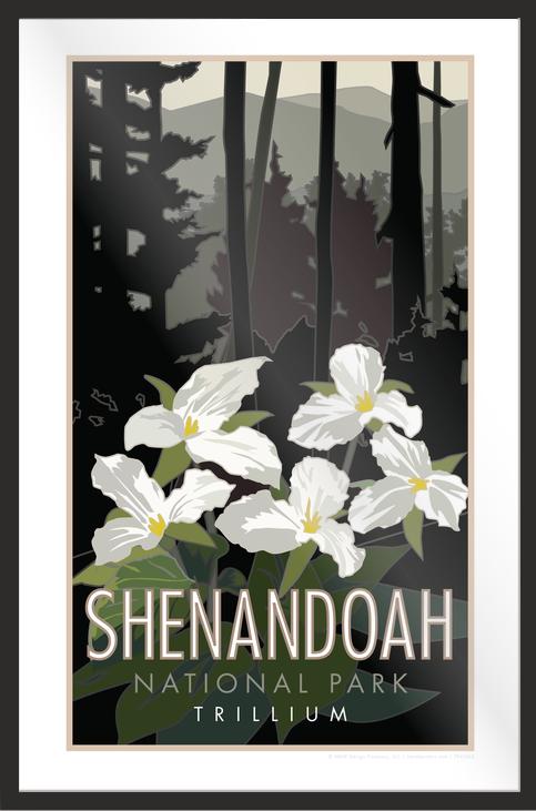 Shenandoah National Park (Trillium), Virginia - Poster