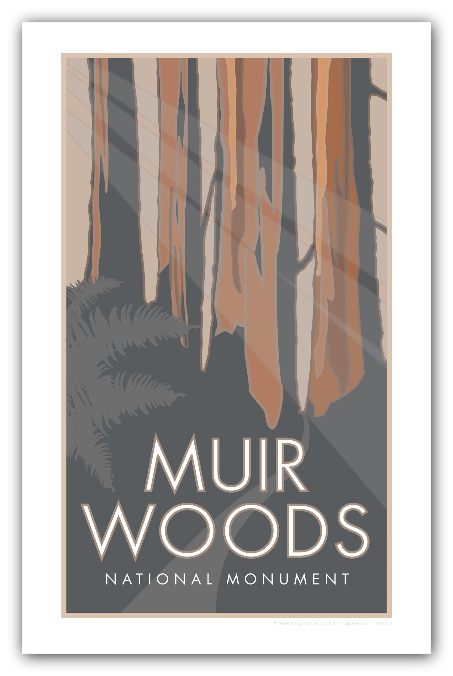 Muir Woods National Monument, California - Poster