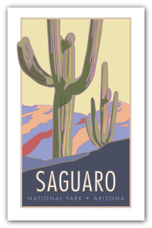 Saguaro National Park, Arizona - Poster
