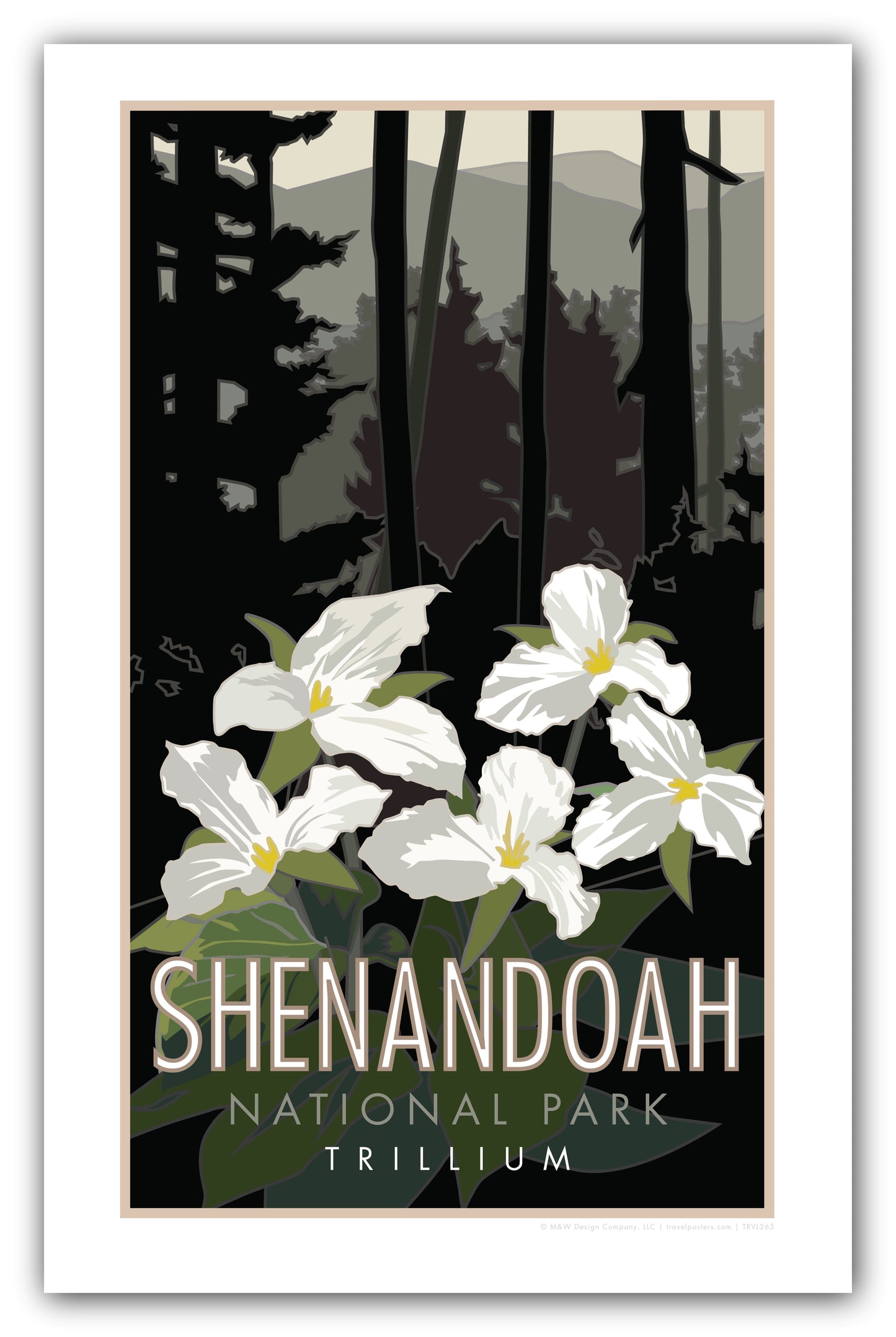 Shenandoah National Park (Trillium), Virginia - Poster