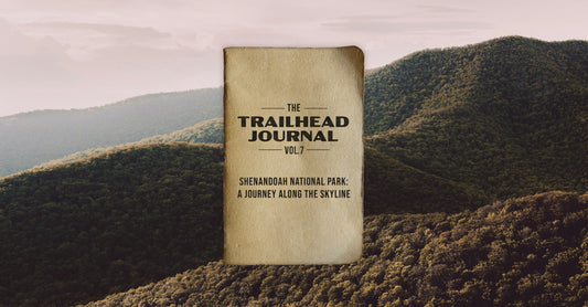 Shenandoah National Park: A Journey Along the Skyline