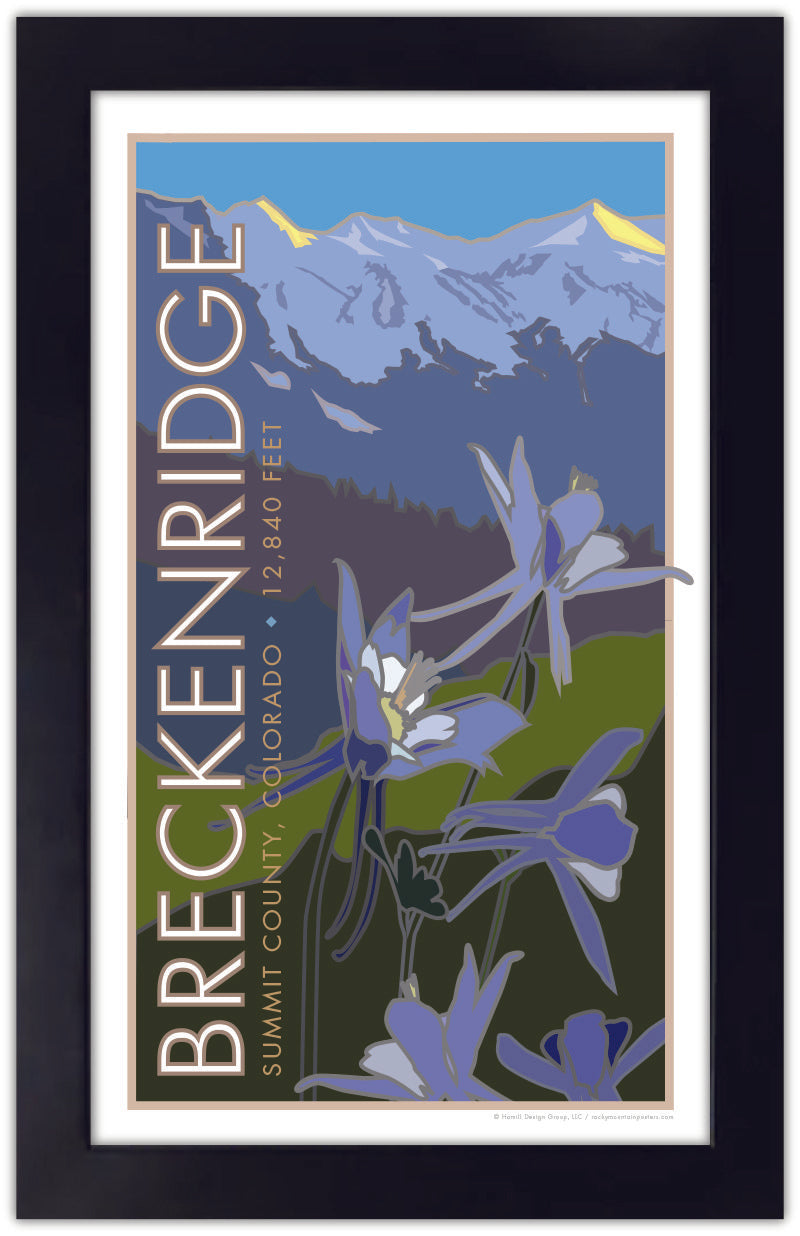 Breckenridge, Colorado - Columbines - Poster