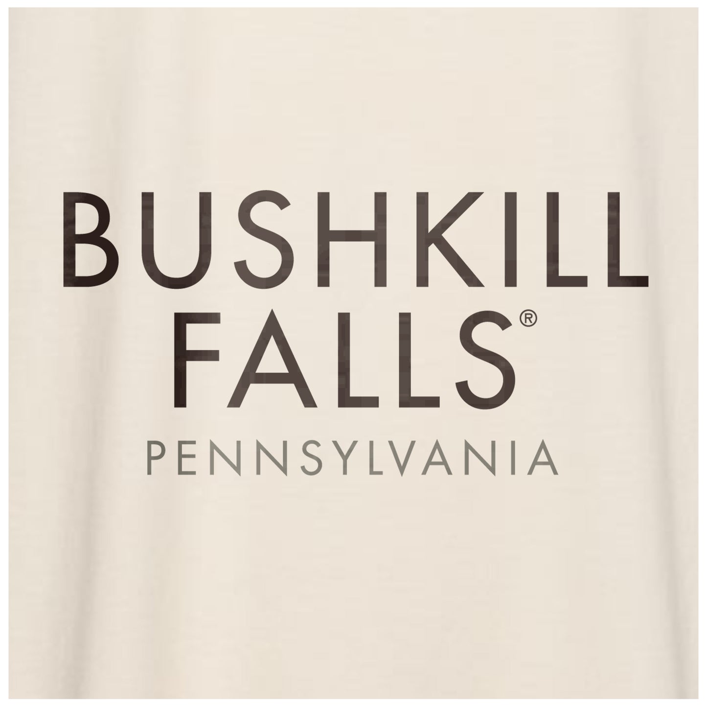 Bushkill Falls - Comfort Colors Heavyweight T-Shirt