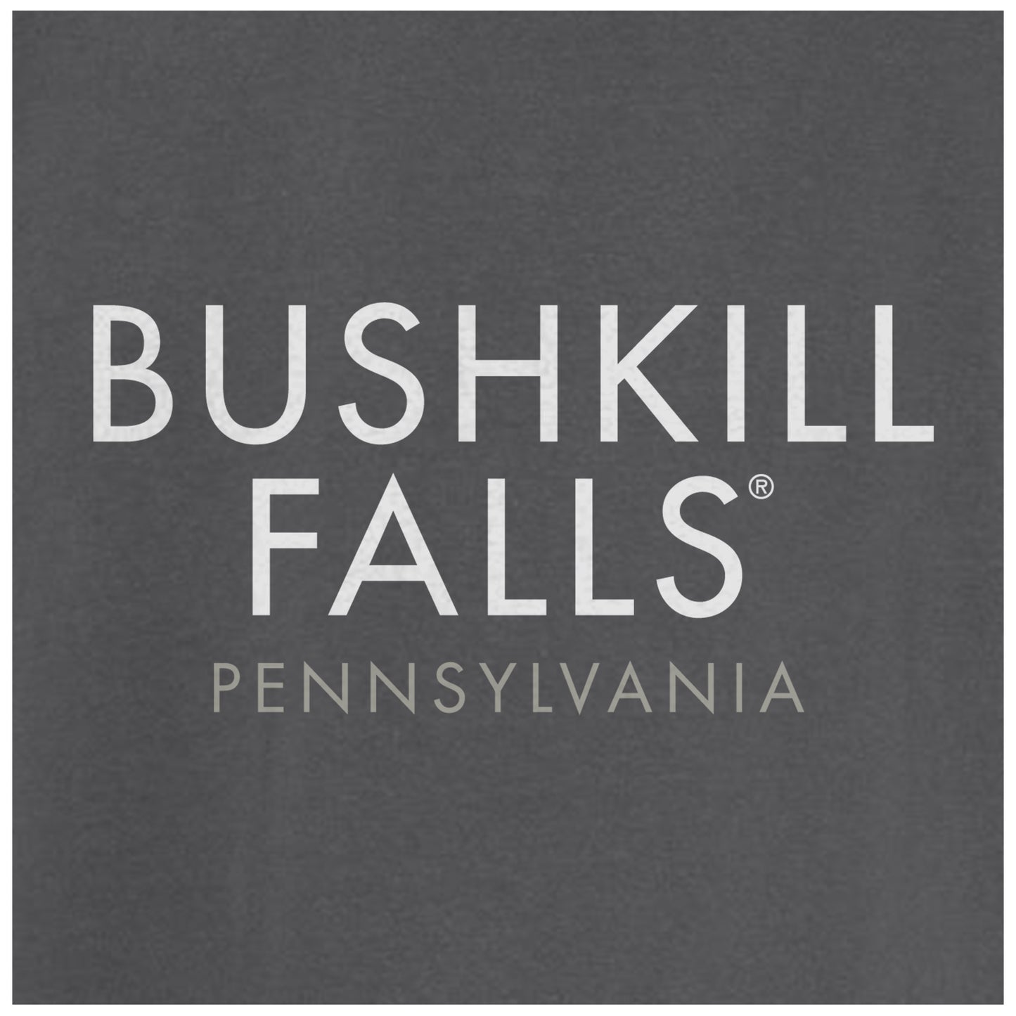 Bushkill Falls - Comfort Colors Heavyweight T-Shirt
