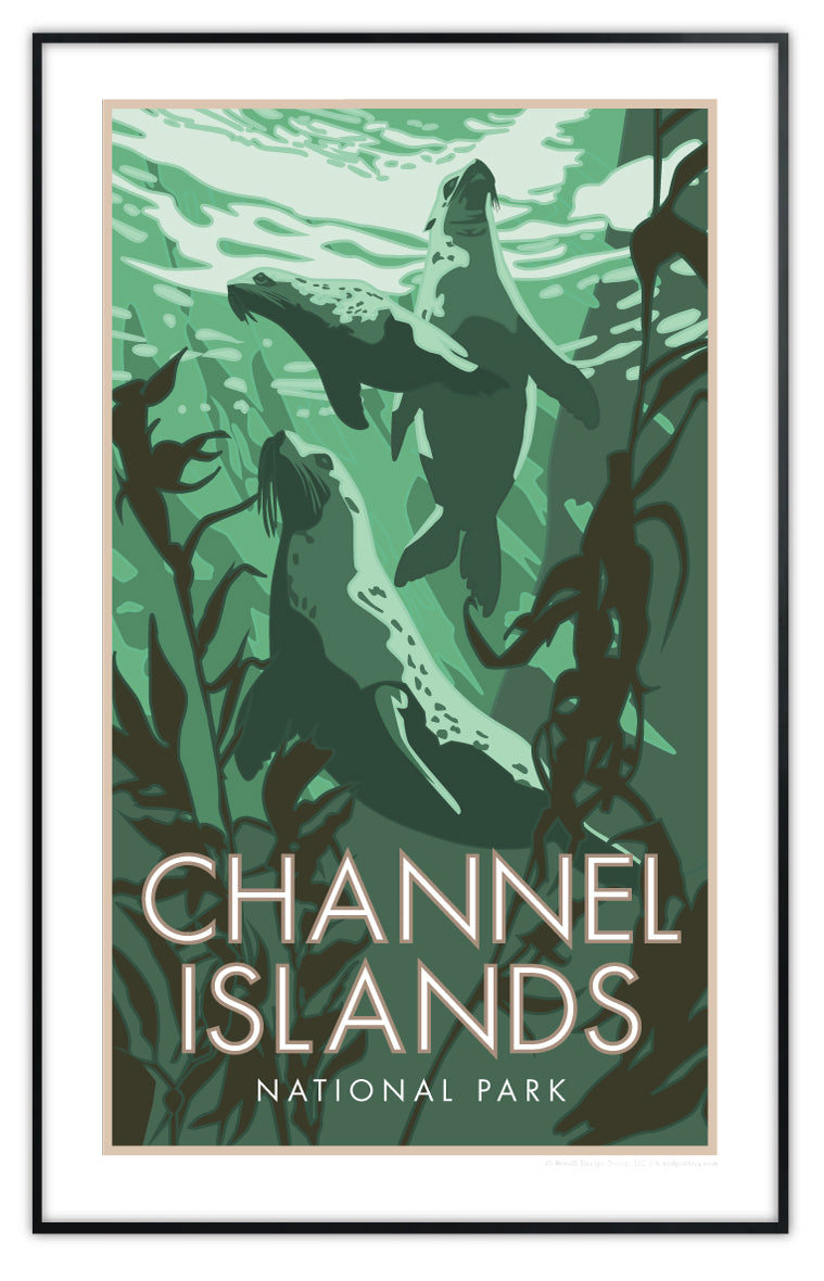 Channel Islands National Park, California - Poster