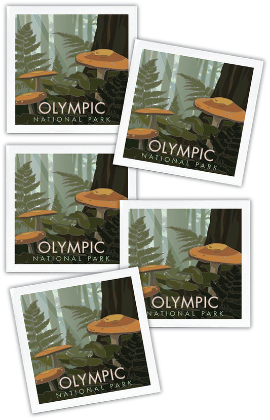 Olympic National Park, Washington (Mushrooms) - 4.25" x 4.25" Ceramic Coaster