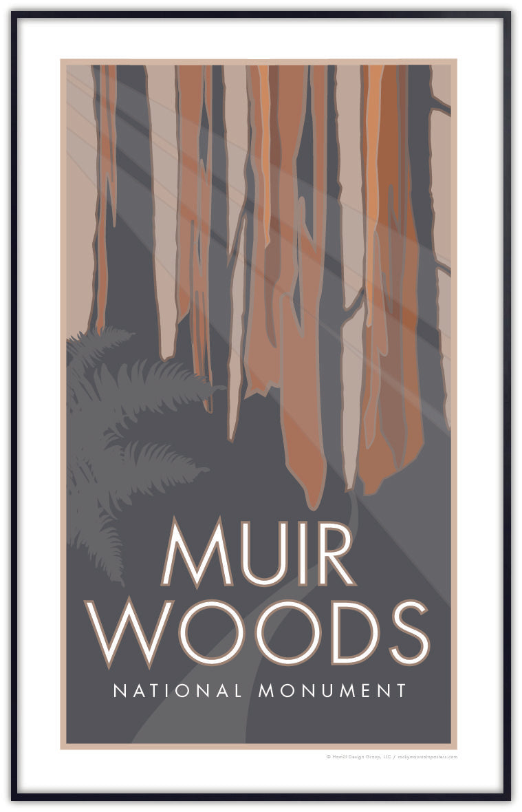 Muir Woods National Monument, California - Poster