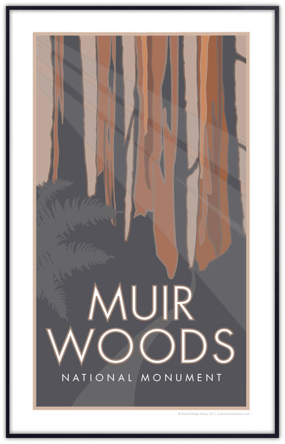 Muir Woods National Monument, California - Poster