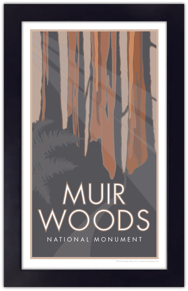 Muir Woods National Monument, California - Poster