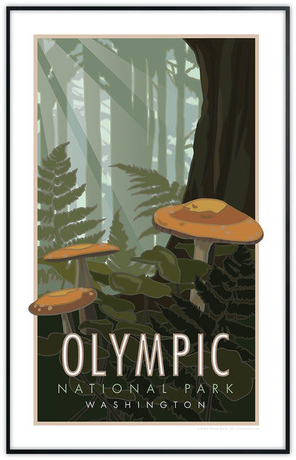 Olympic National Park, Washington (Mushrooms) - Poster