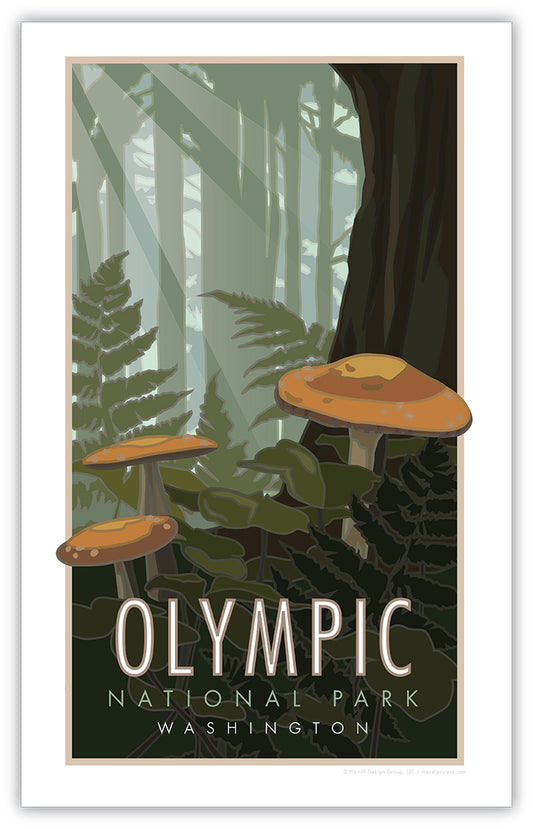 Olympic National Park, Washington (Mushrooms) - Poster