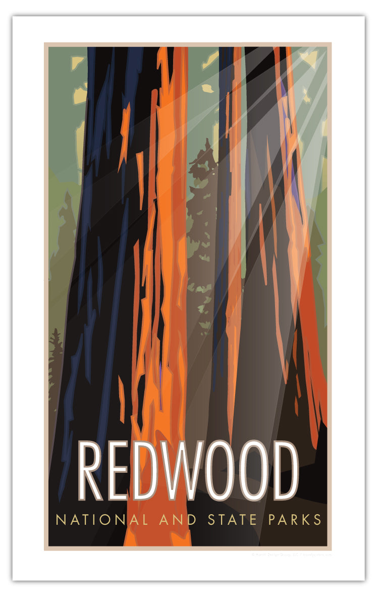 Redwood National and State Park, California - Poster