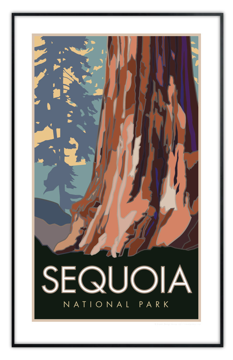 Sequoia National Park, Forest View, California - Poster