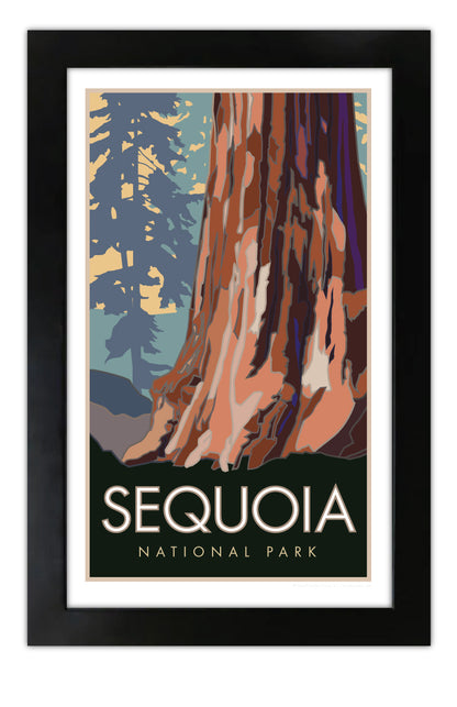 Sequoia National Park, Forest View, California - Poster