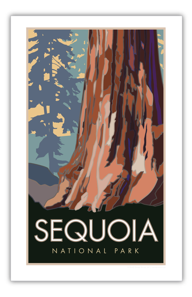 Sequoia National Park, Forest View, California - Poster