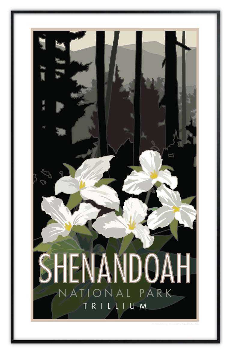 Shenandoah National Park (Trillium), Virginia - Poster