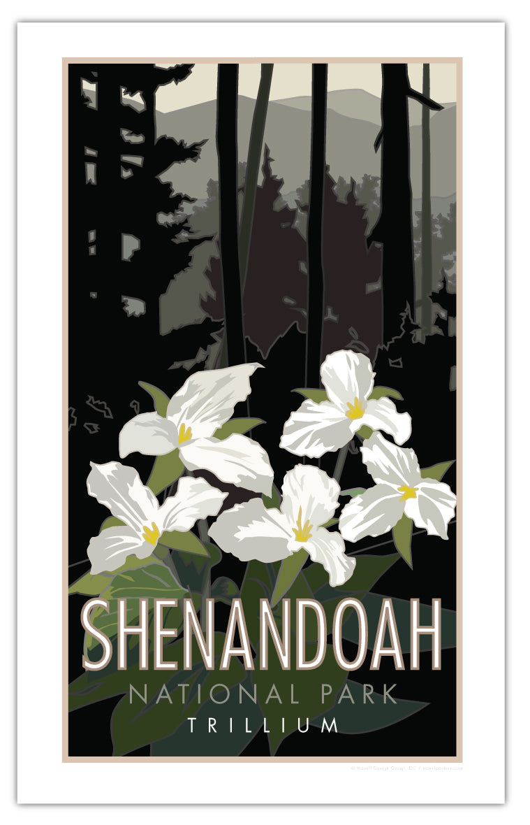 Shenandoah National Park (Trillium), Virginia - Poster