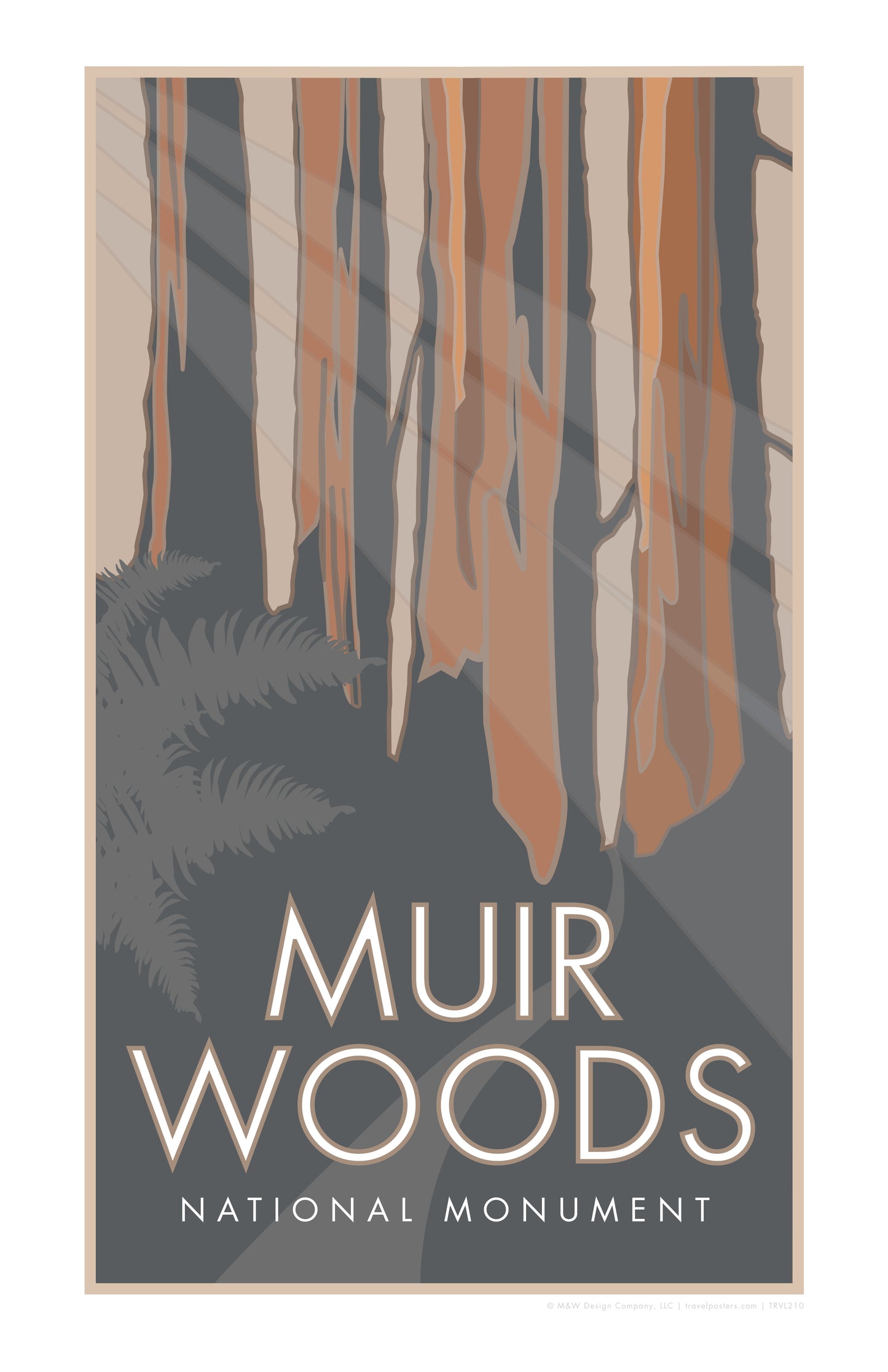 Muir Woods National Monument, California - Poster