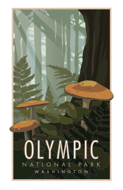Olympic National Park, Washington (Mushrooms) - Poster