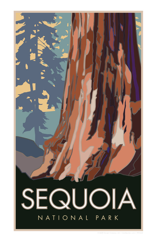 Sequoia National Park, Forest View, California - Poster