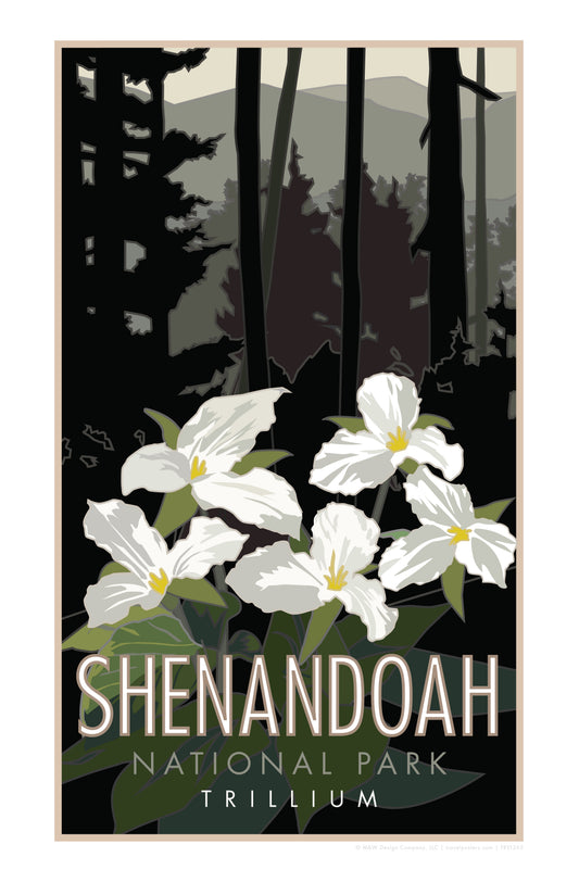 Shenandoah National Park (Trillium), Virginia - Poster