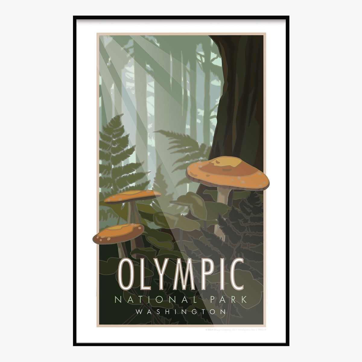 Olympic National Park Washington Mushrooms Travel Poster
