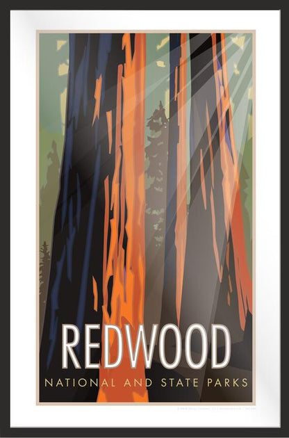 Redwood National and State Park, California - Poster