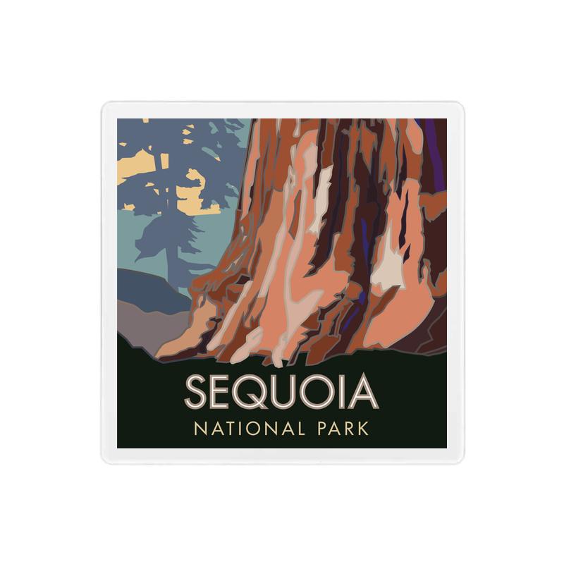 Sequoia National Park, Forest View, California - 4" x 4" Sandstone Coaster