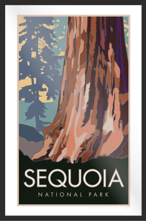 Sequoia National Park, Forest View, California - Poster
