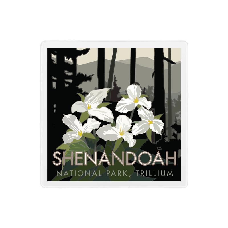 Shenandoah National Park (Trillium), Virginia - 4" x 4" Sandstone Coaster