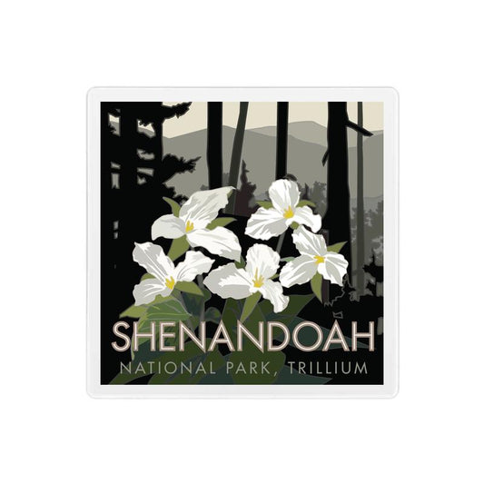 Shenandoah National Park (Trillium), Virginia - 4" x 4" Sandstone Coaster