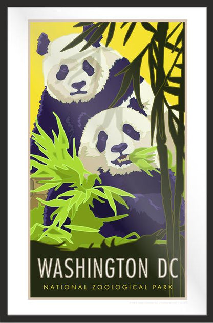 Washington DC Pandas - Poster