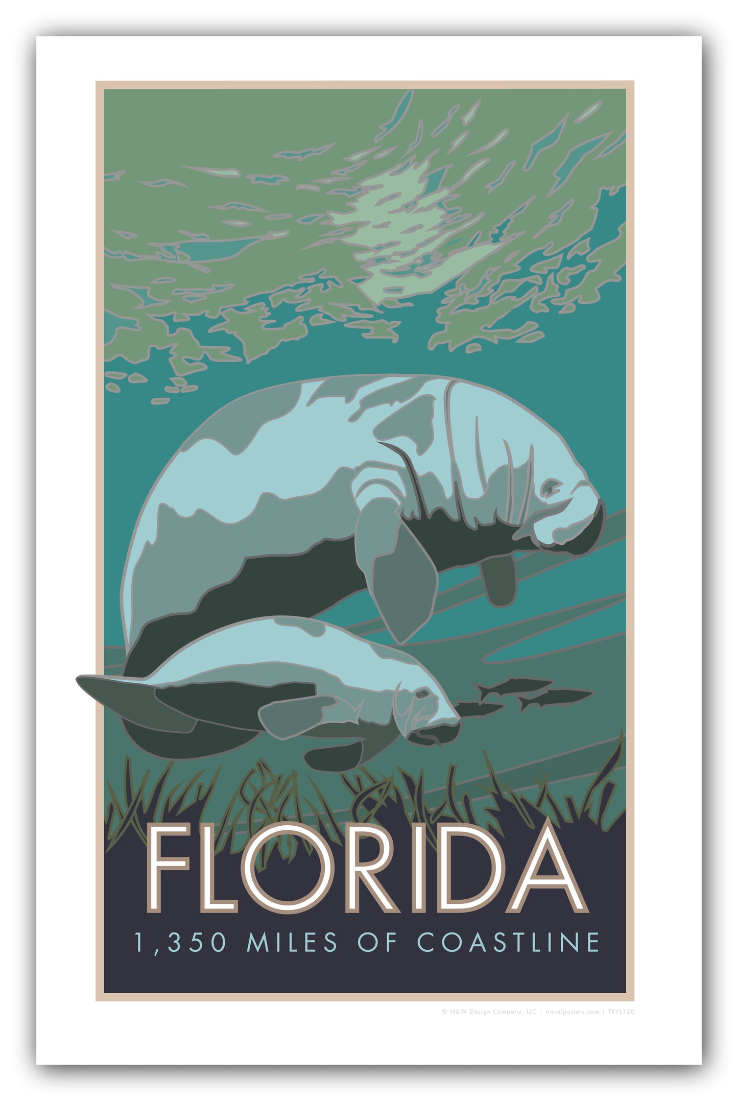 Florida (Manatee) - Poster