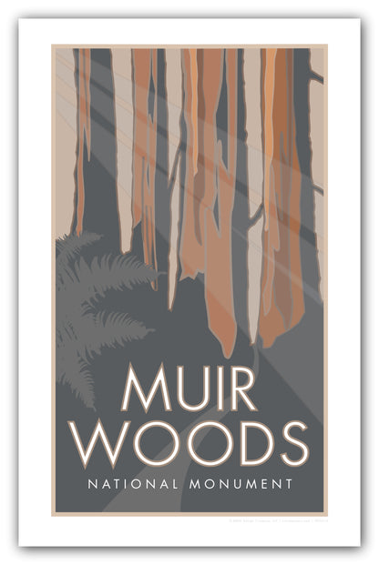 Muir Woods National Monument, California - Poster