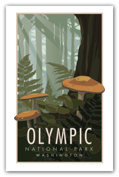 Olympic National Park, Washington (Mushrooms) - Poster