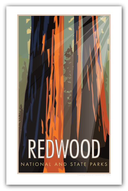 Redwood National and State Park, California - Poster