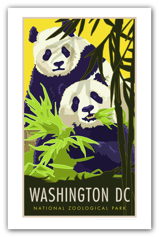 Washington DC Pandas - Poster